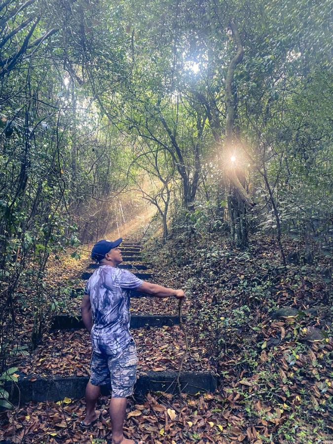 Momarco Forest Cove Tanay Eksteriør bilde