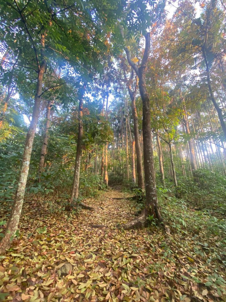 Momarco Forest Cove Tanay Eksteriør bilde